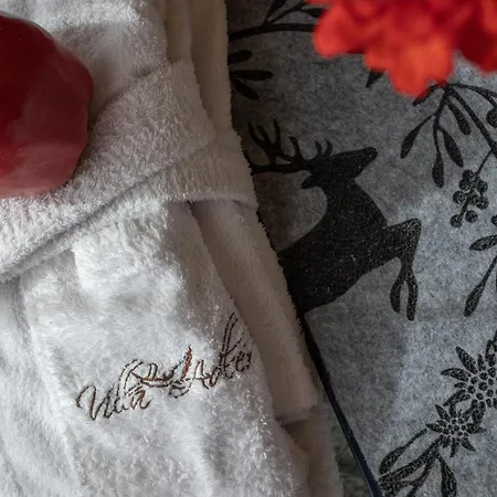 Aparthotel Alpine Adler